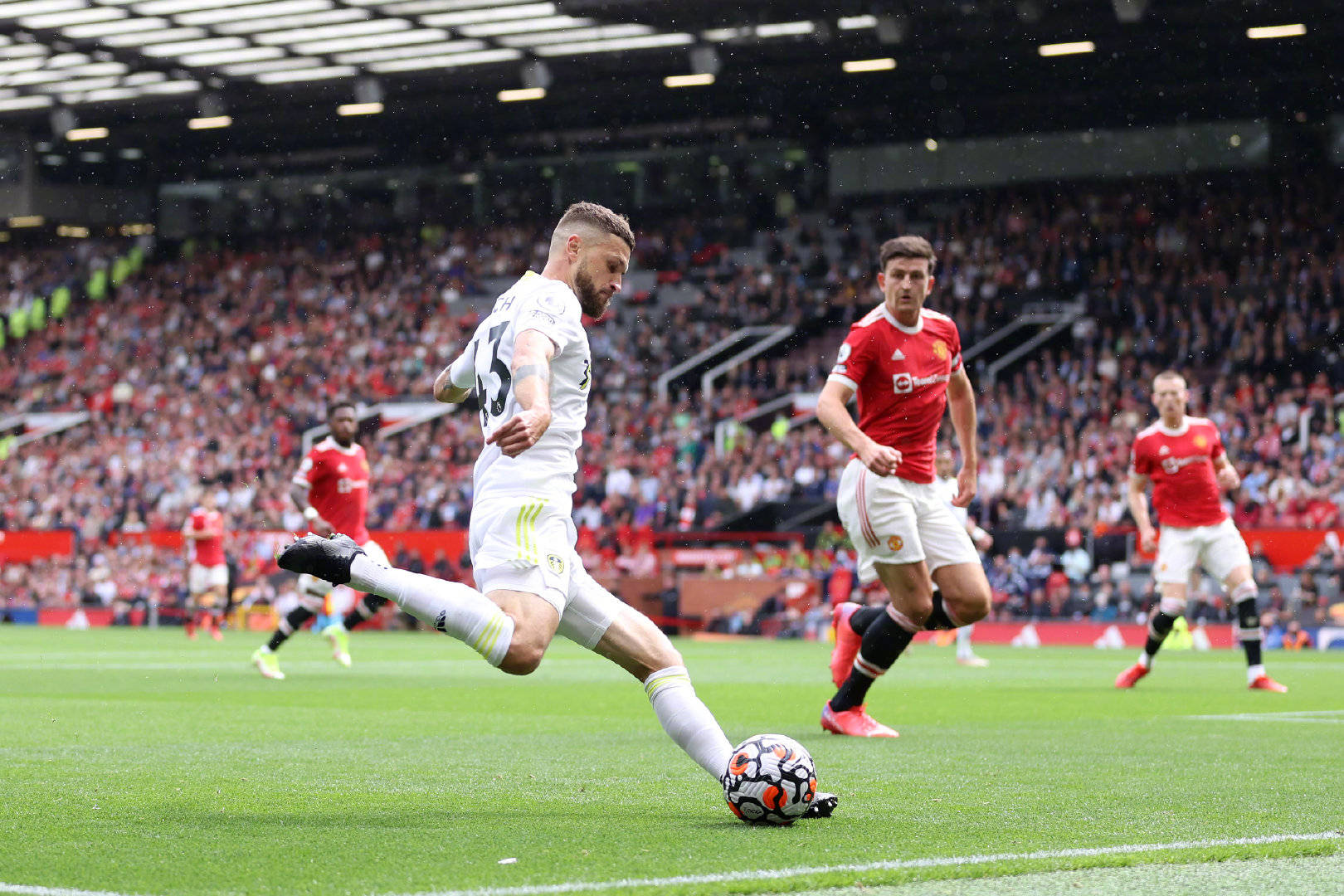 利斯的天才 利斯的天才